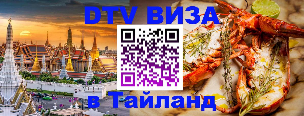 Оформление DTV визы под ключ: стоимость и тарифы, только загранпаспорт - 19.11.2025 